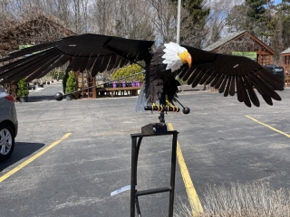 22177470-BAA6-4A5A-978C-C5836D69436E