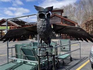 F7DDD1D6-F684-40D7-A2C1-68AACF10B677