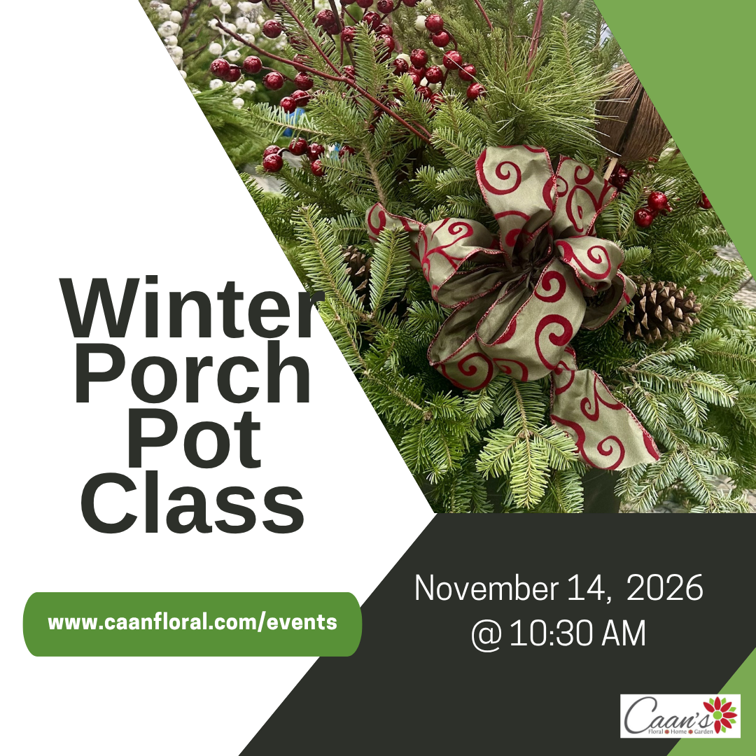 Winter Porch Pot Class