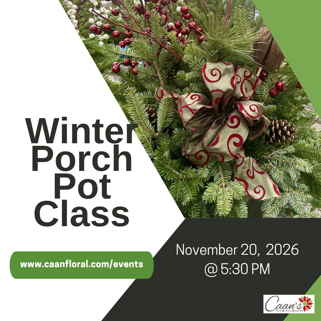 Winter Porch Pot Class