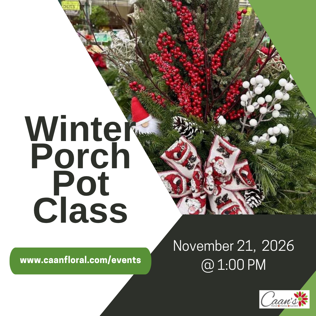 Winter Porch Pot Class